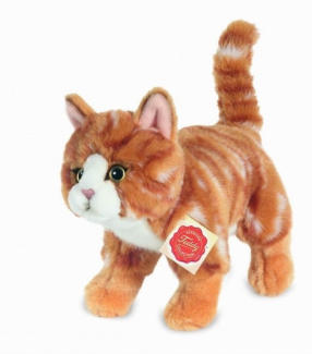 vörös csíkos macska álló 20.PNG